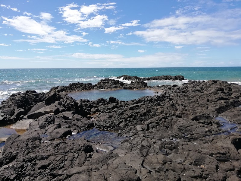 Mon Repos Conservation Park photo 3