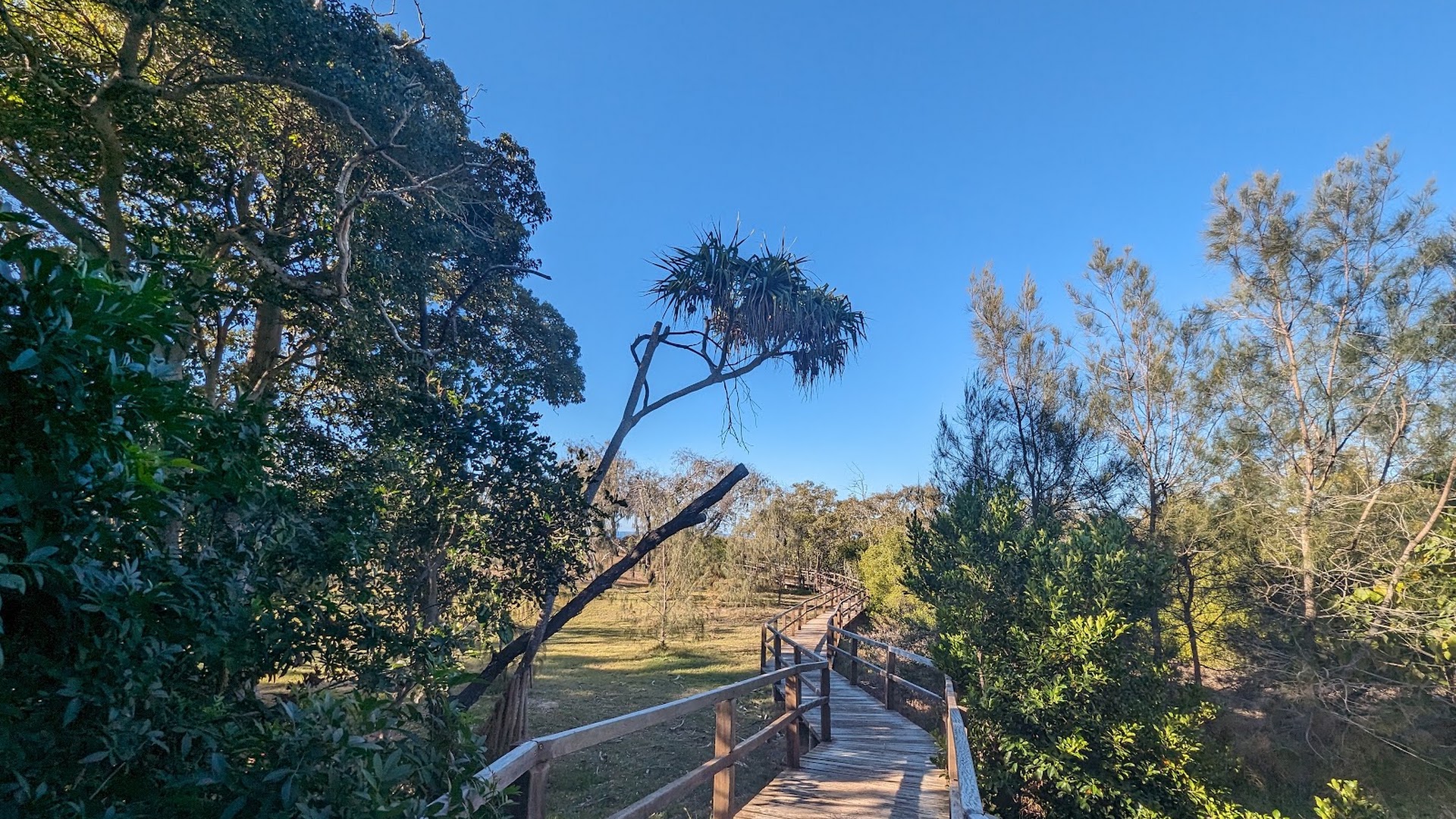 Mon Repos Conservation Park