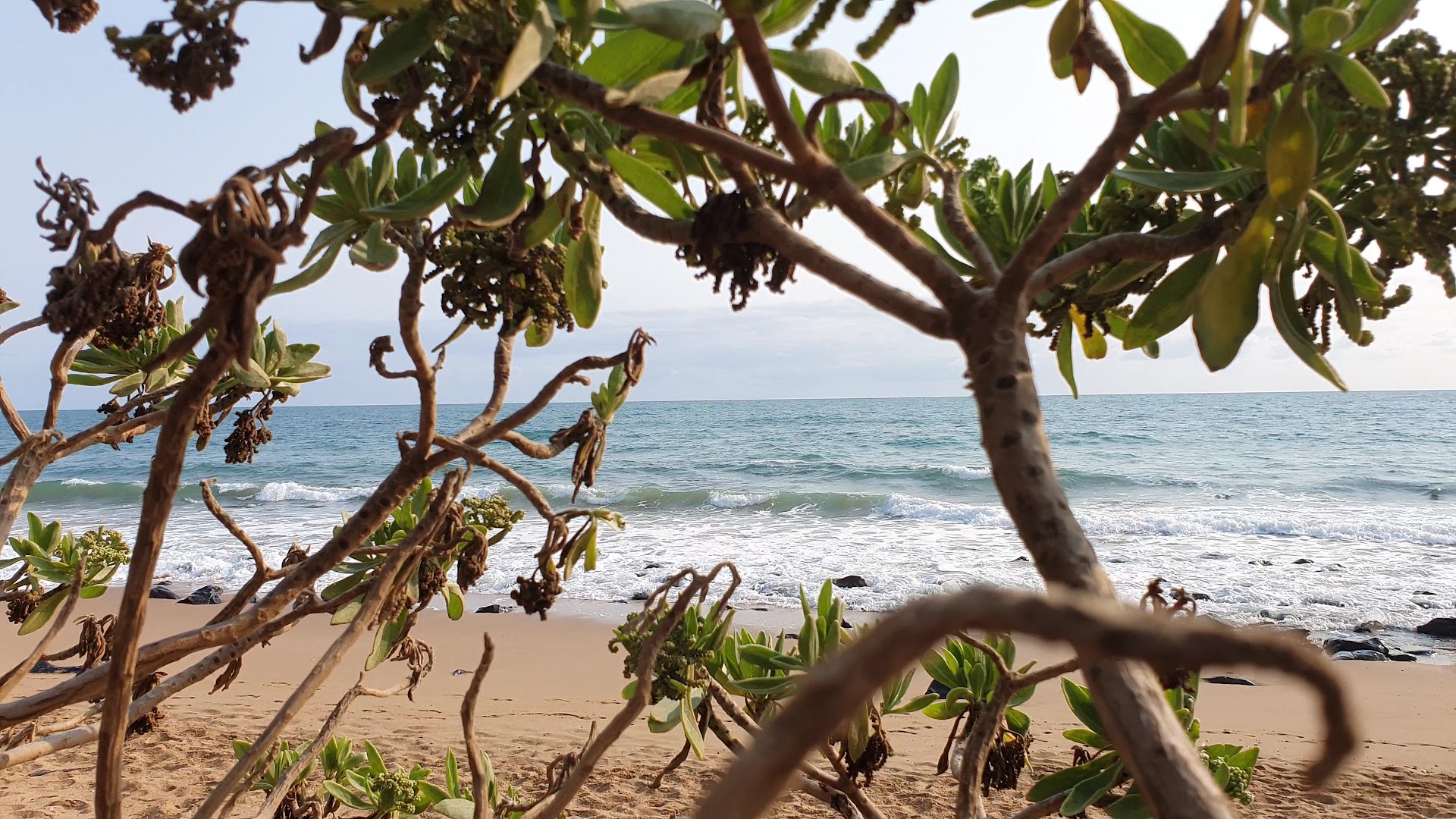 Mon Repos Conservation Park photo 2