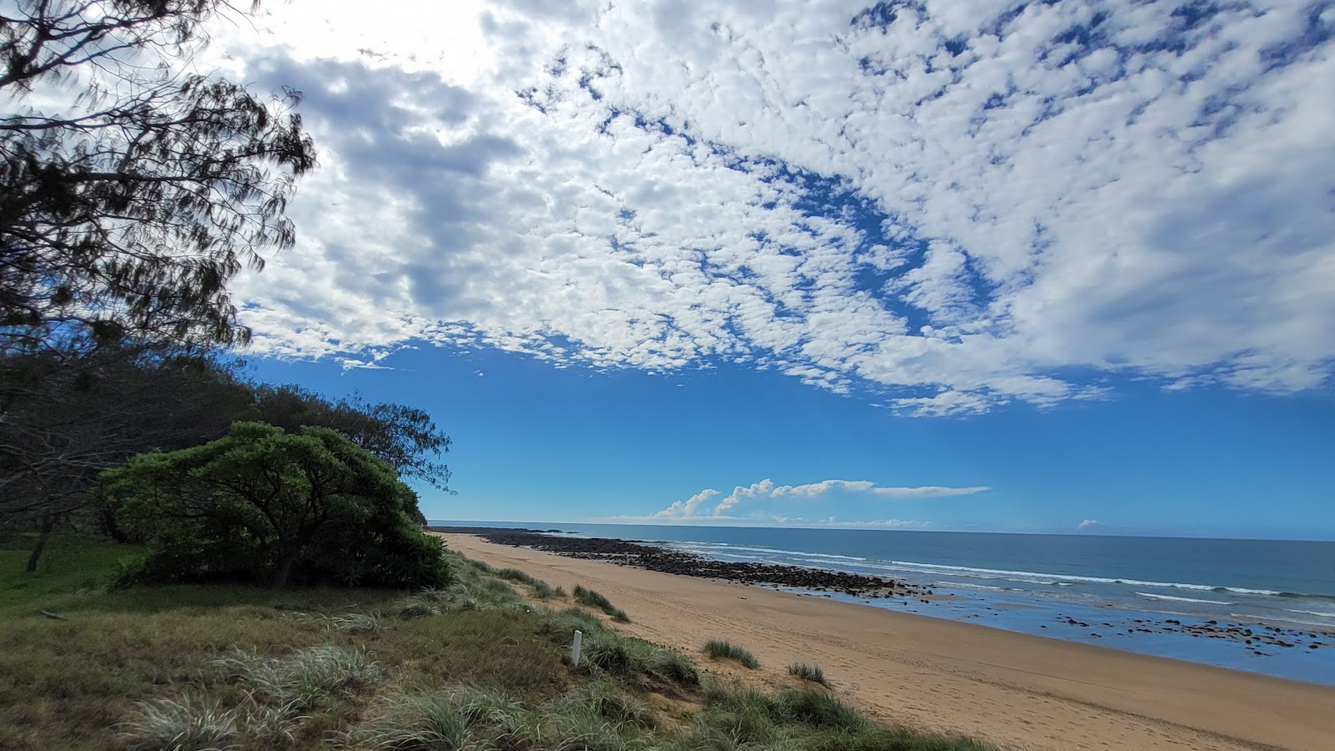 Mon Repos Conservation Park photo 3