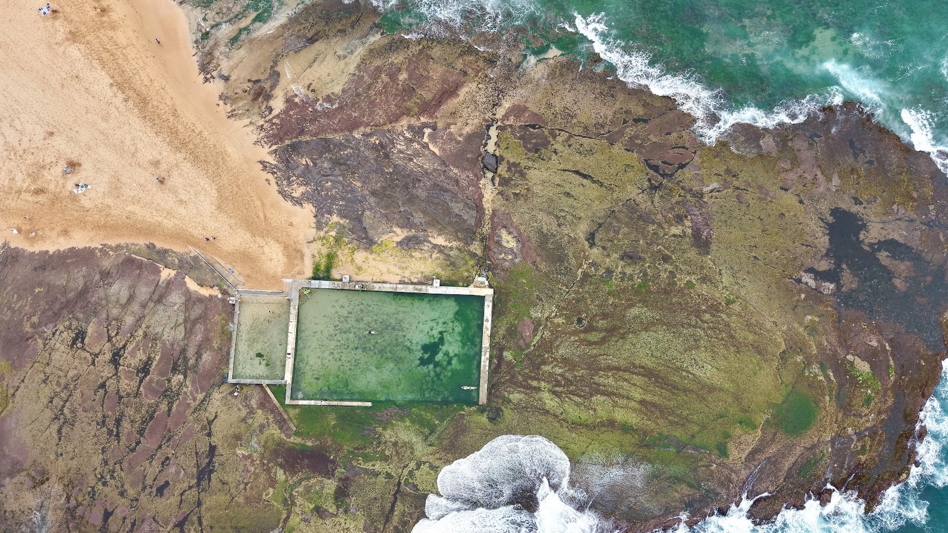 Mona Vale Rockpool