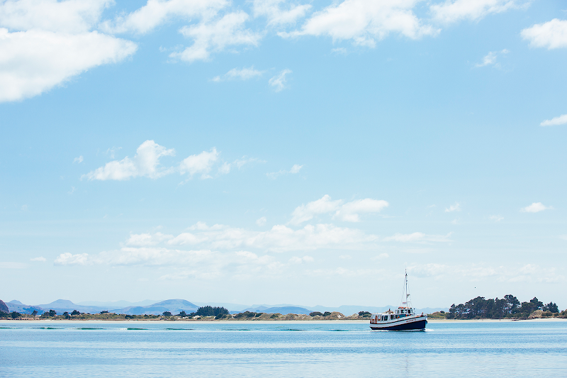 Monarch Wildlife Cruises & Tours