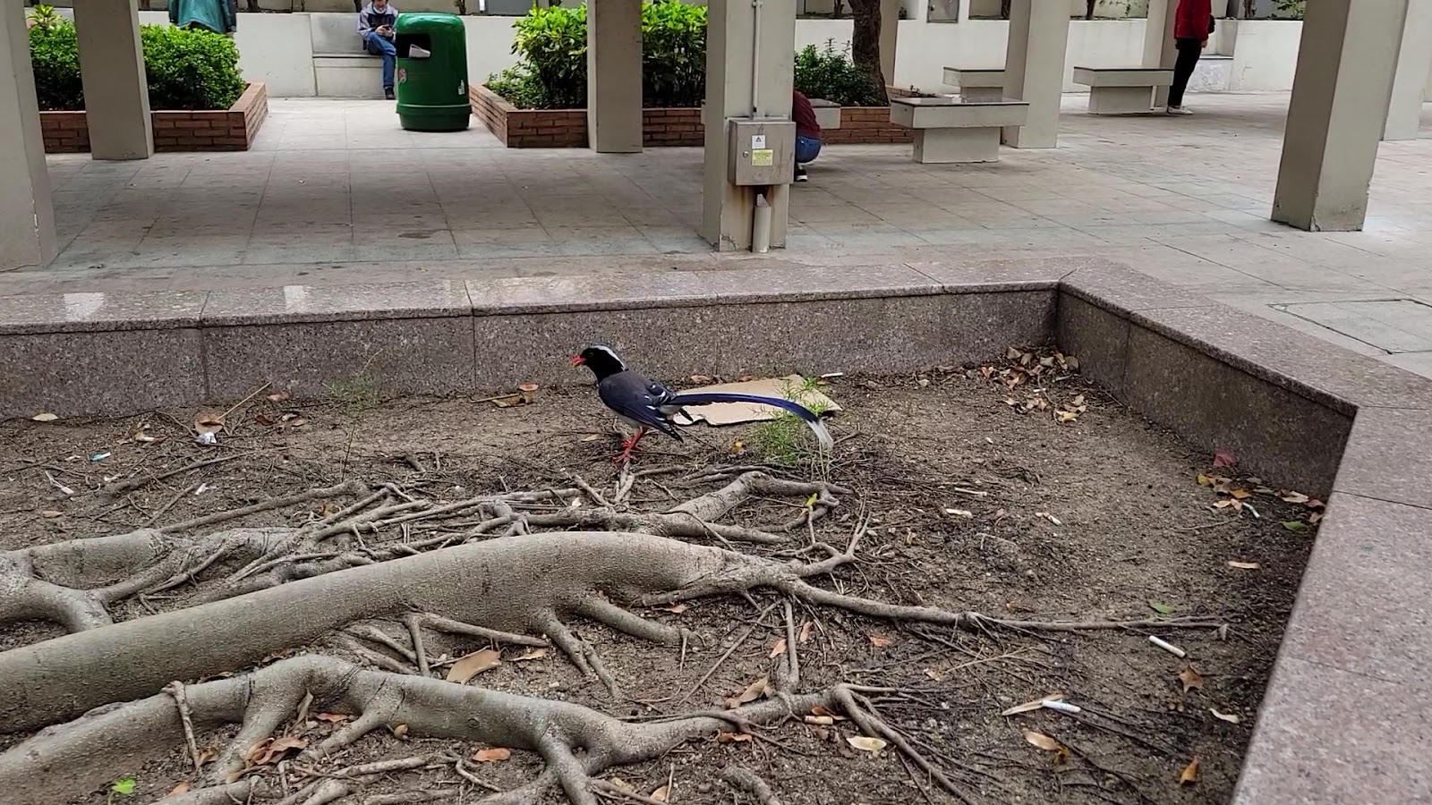 Mong Kok Road Playground photo 3