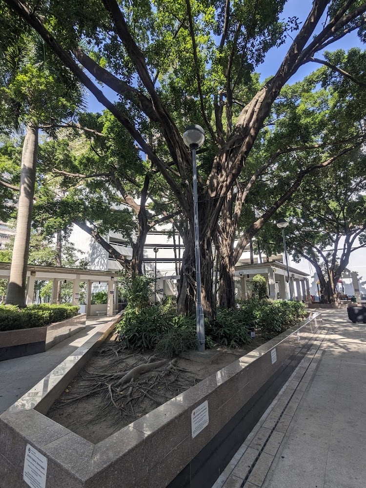 Mong Kok Road Playground photo 5