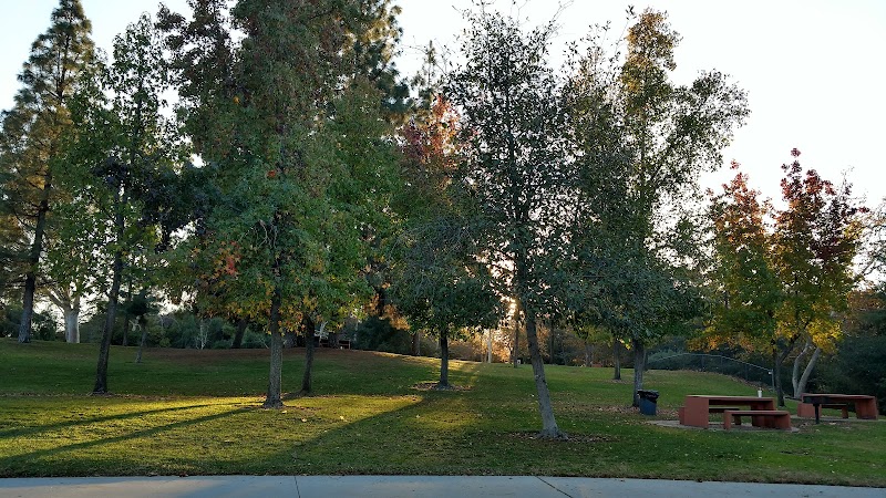 Montrose Community Park photo 2