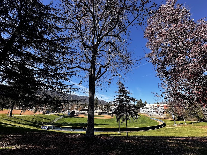 Montrose Community Park photo 3