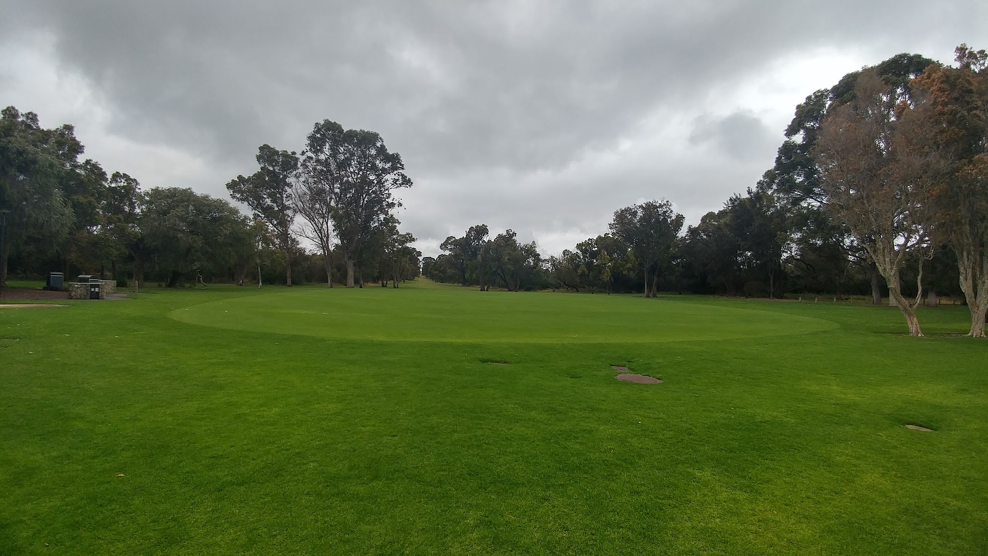 Moonlight Cinema Perth photo 3