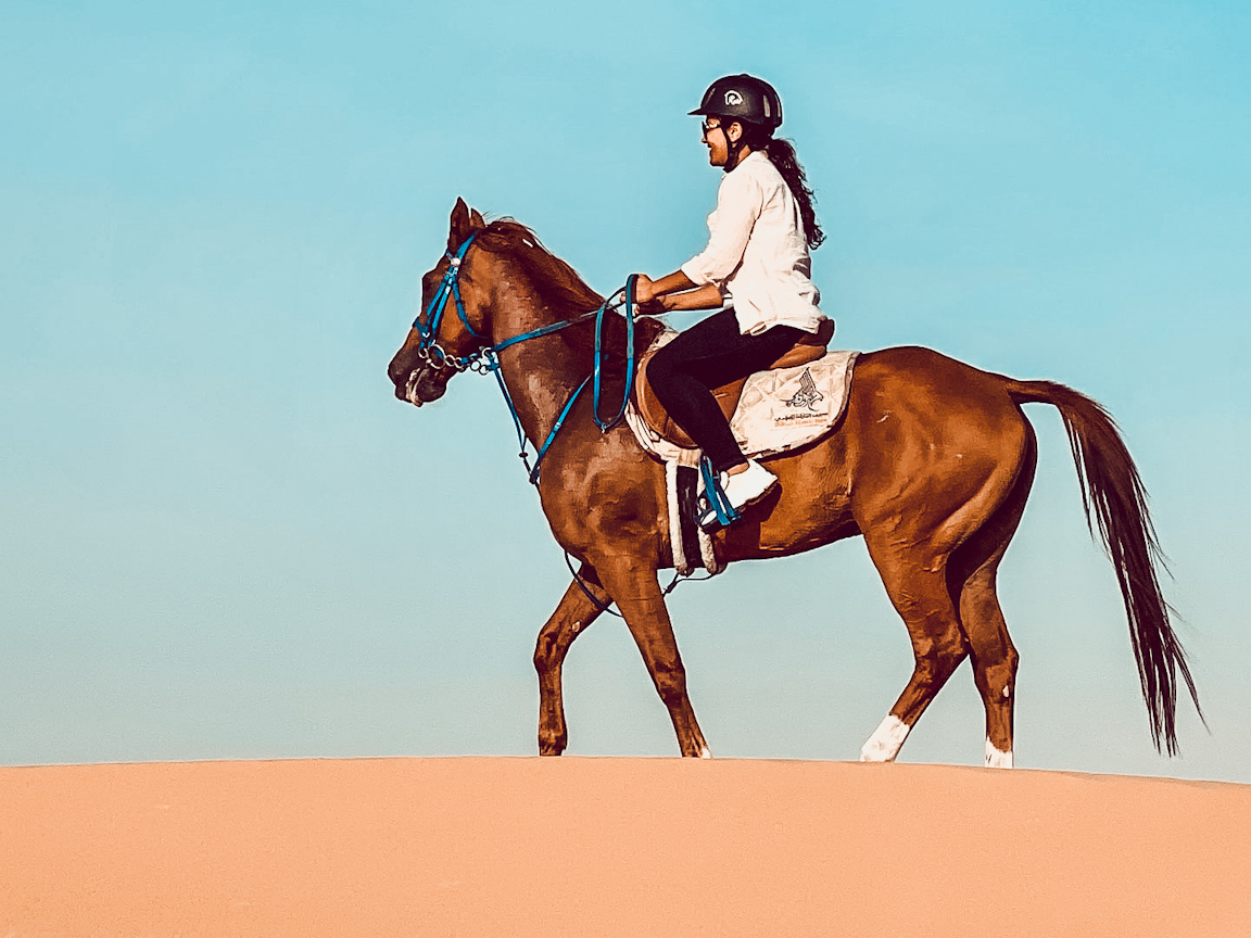 Moonlight Stable photo 2