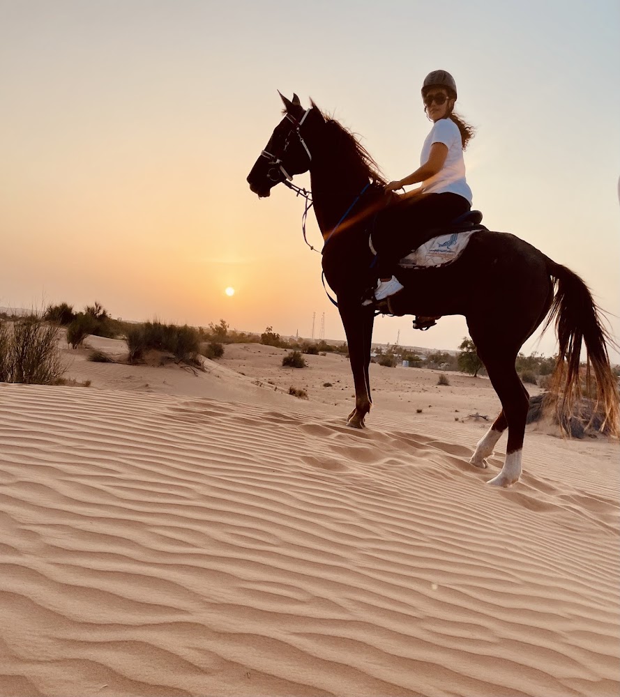 Moonlight Stable photo 4