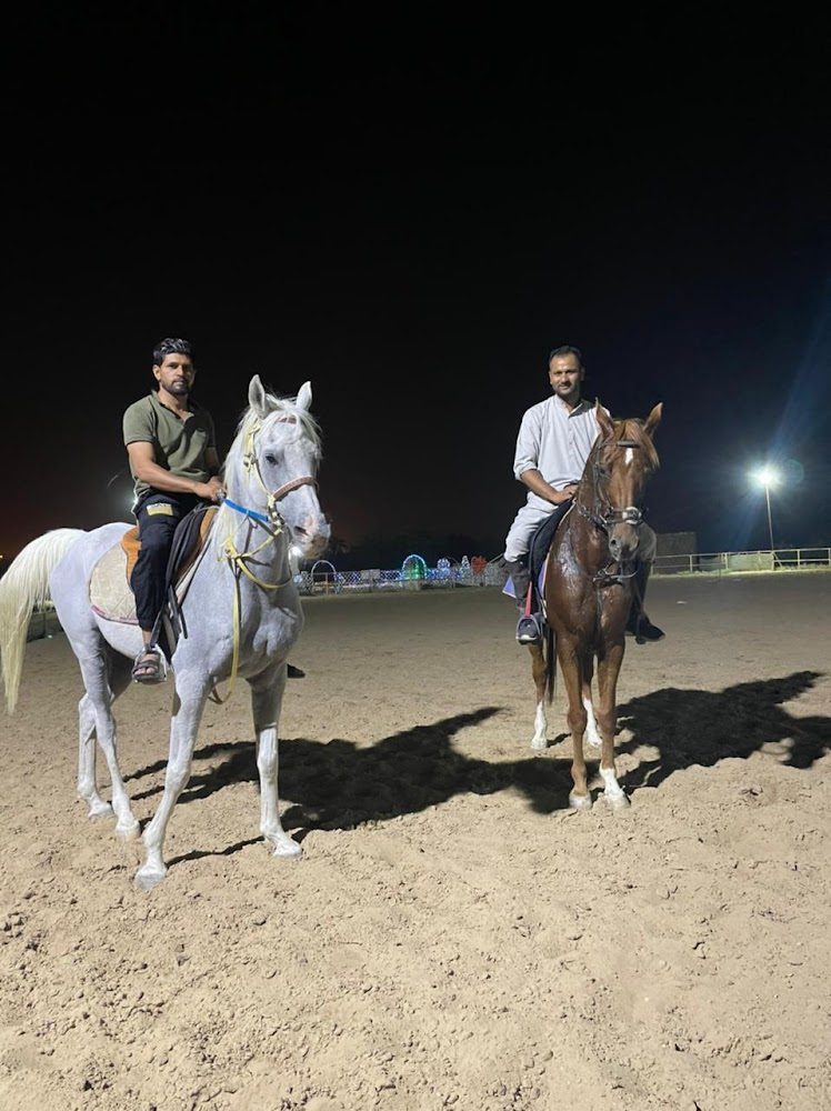 Moonlight Stable photo 5