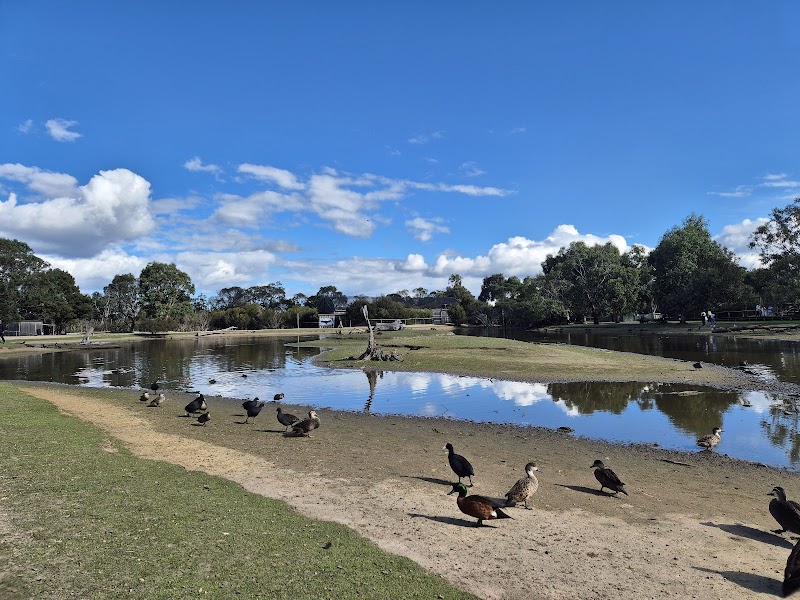Moonlit Sanctuary Wildlife Conservation Park photo 3