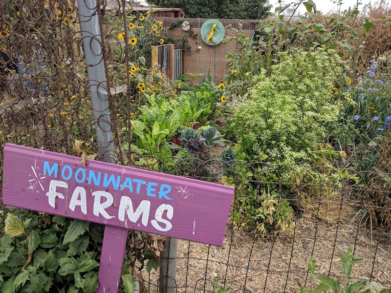 Moonwater Farm photo 2