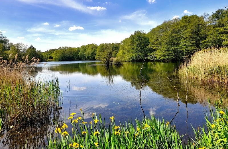 Moore Nature Reserve photo 2