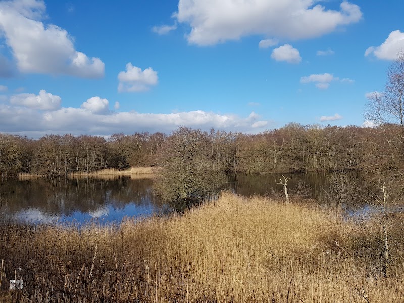 Moore Nature Reserve photo 3