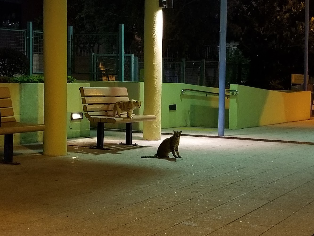Moray Road Children's Playground photo 3