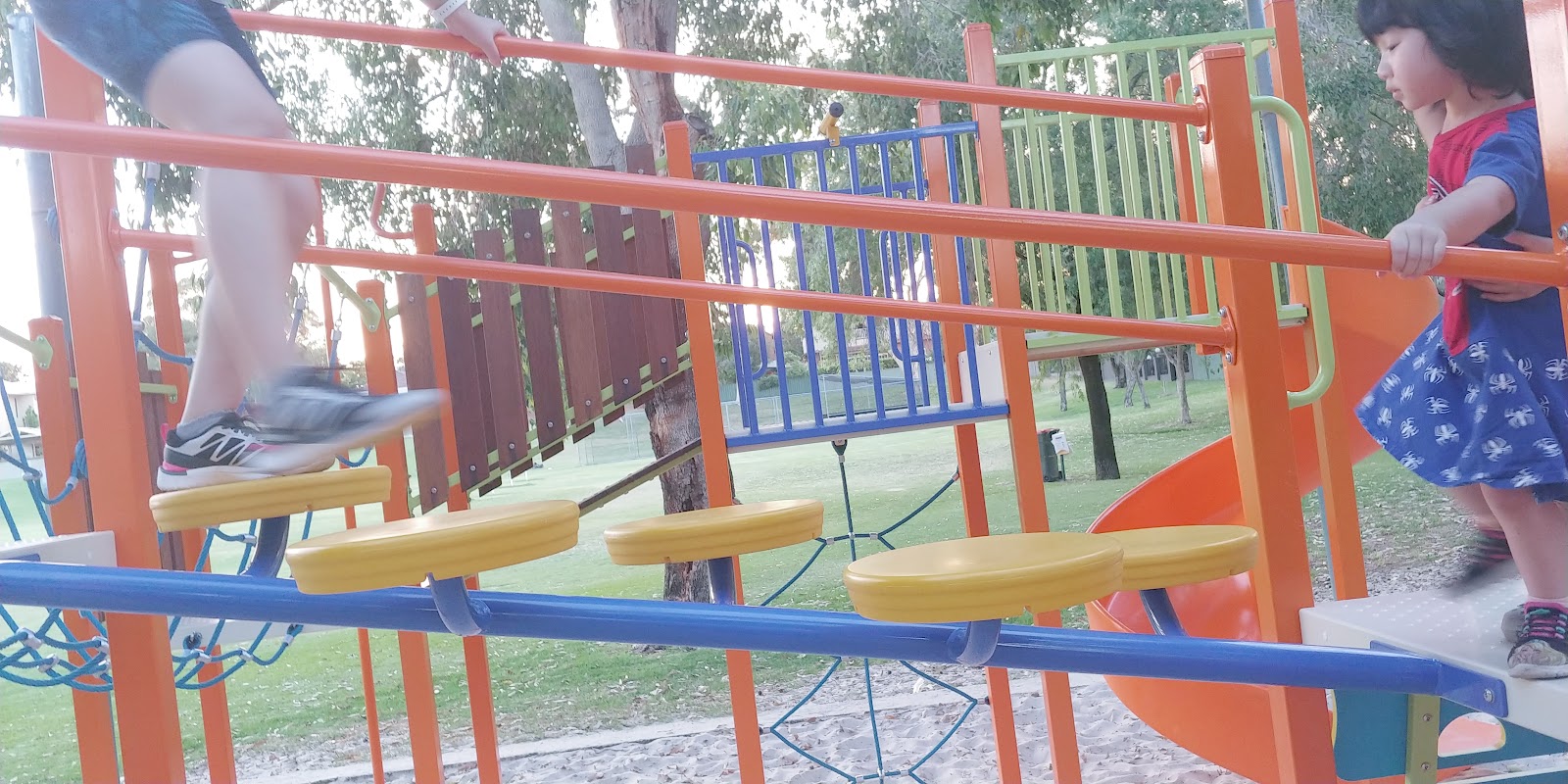 Morris Mundy Reserve photo 2