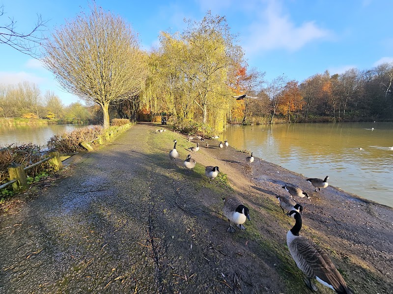 Moses Gate Country Park Playground