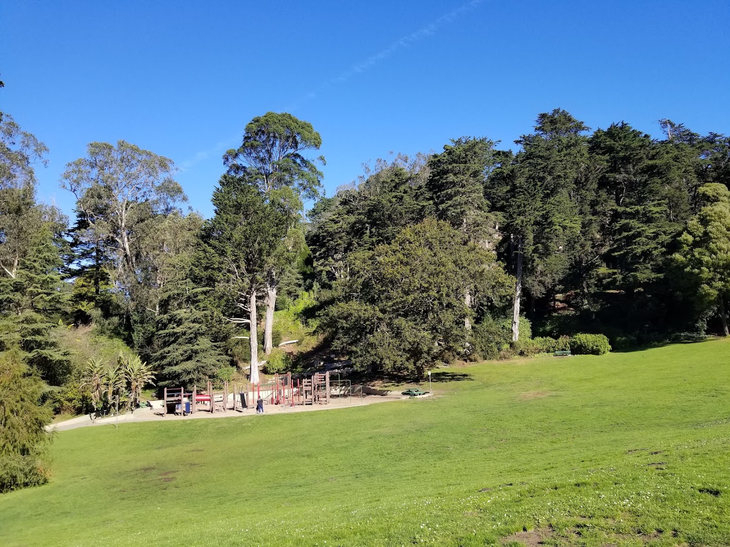 Mothers Meadow