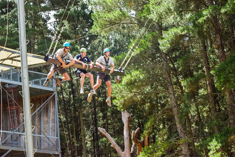Mount Lofty Adventure Hub photo 2