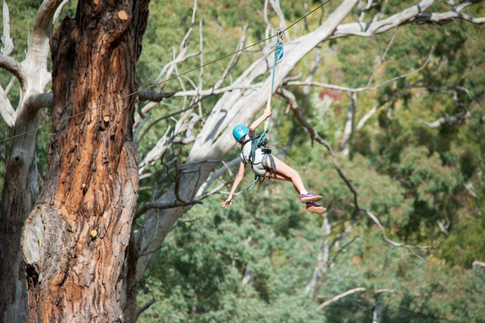 Mount Lofty Adventure Hub photo 3