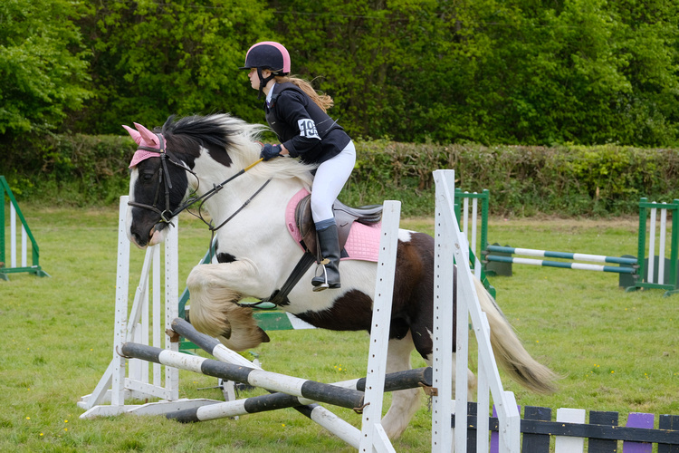 Mount Mascal Stables