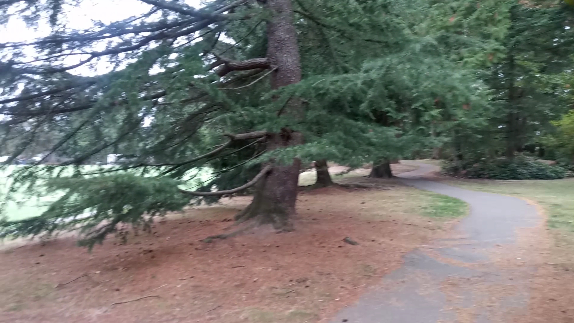 Mountain Playground photo 2