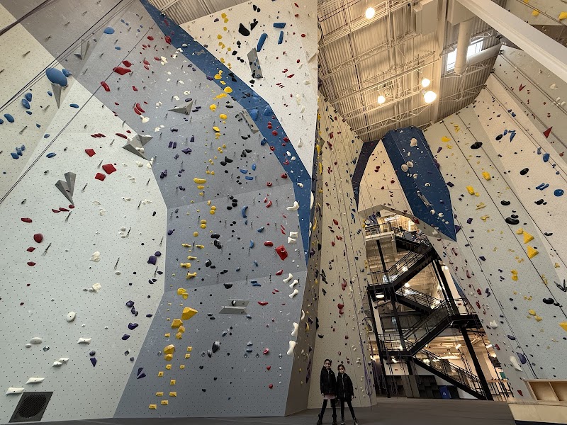 Movement Climbing, Yoga, Fitness