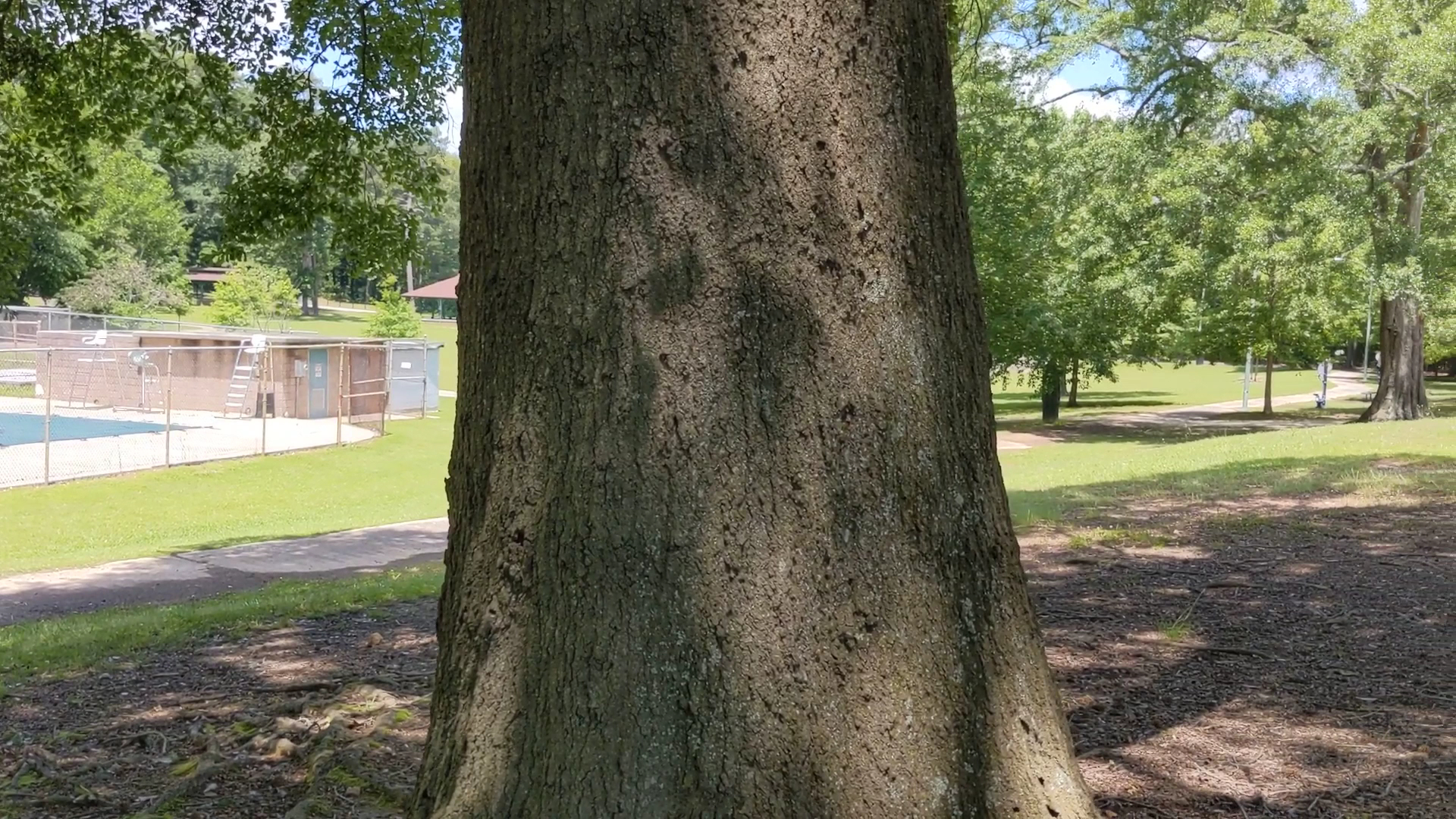 Mozley Park Playground photo 2