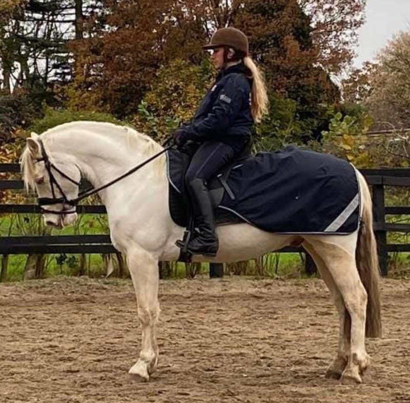 Photo of MPEquestrian in Greater London