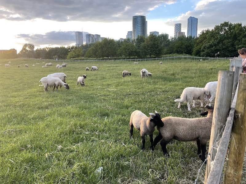 Mudchute Park and Farm photo 2