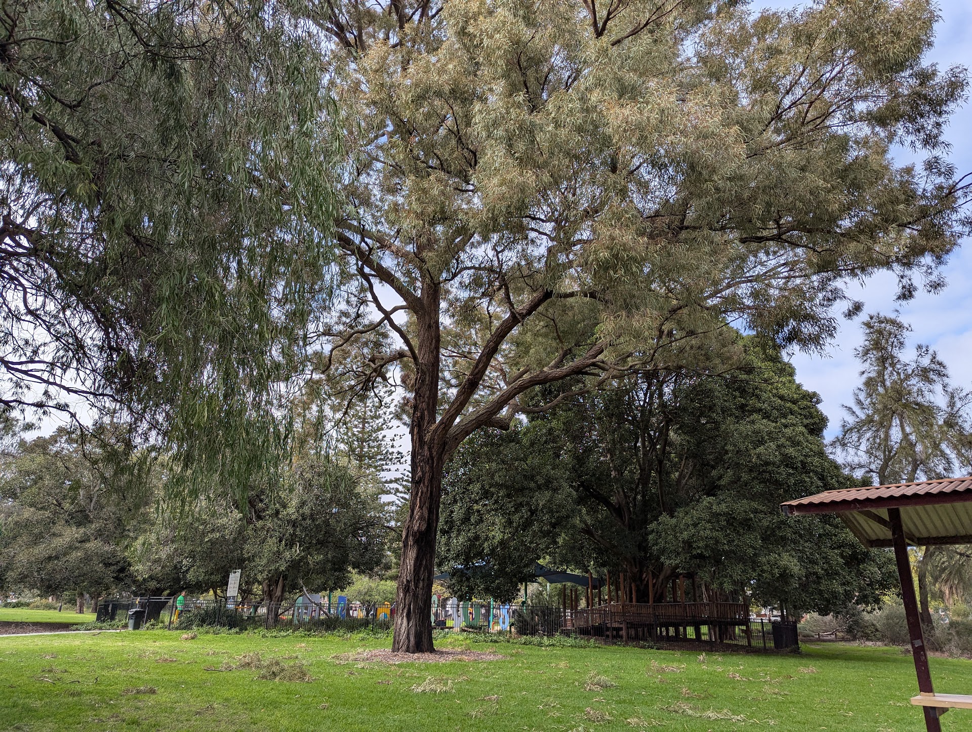 Mueller Park Play Space photo 3
