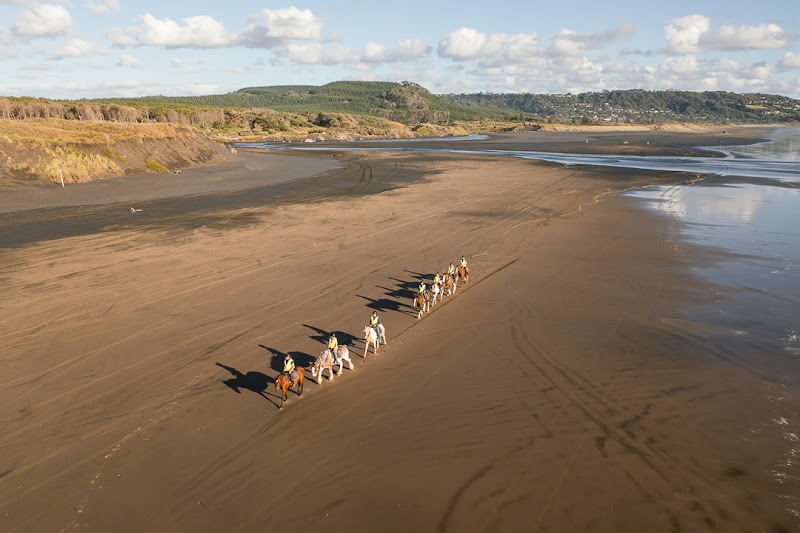 Muriwai Beach Horse Treks Auckland