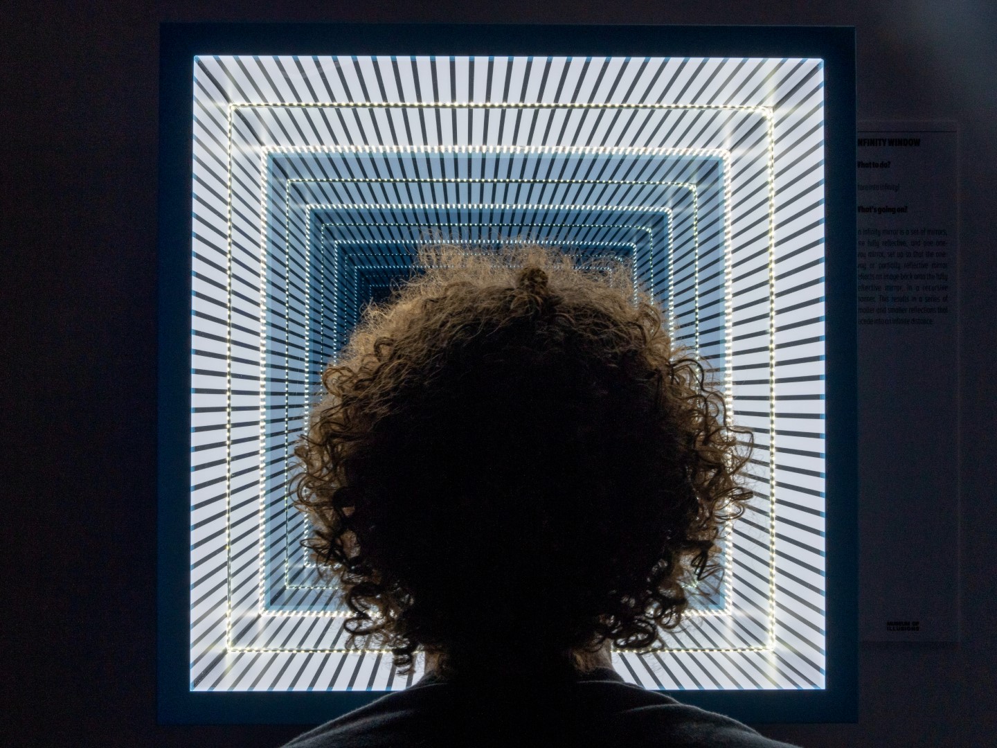 Museum of Illusions