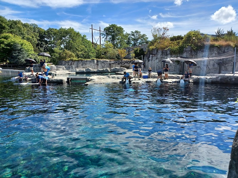Mystic Aquarium photo 2