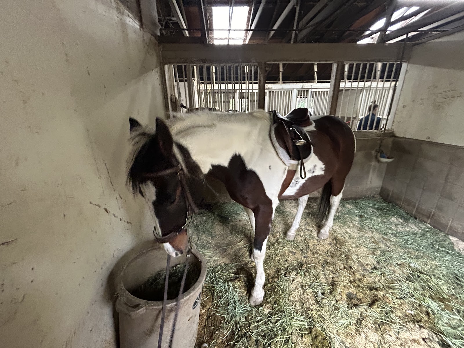 Mystic Canyon Stable