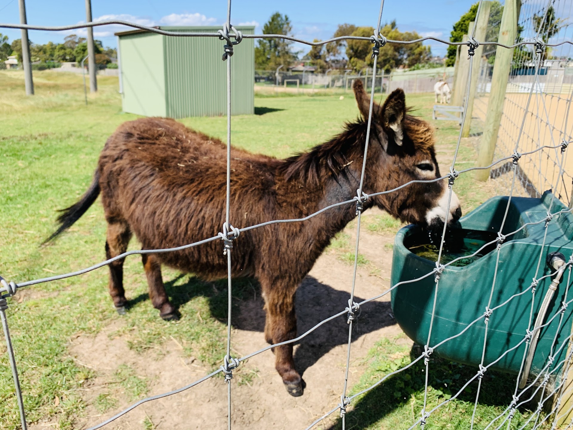 Myuna Farm photo 2