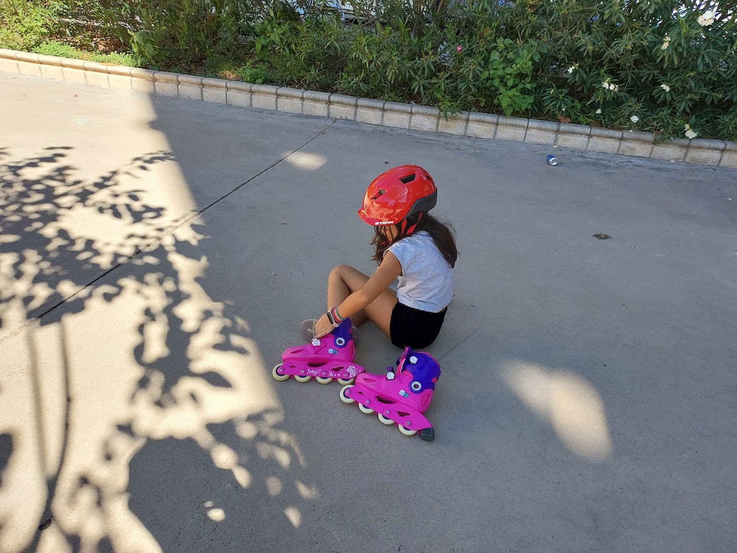 Napa Street Playground photo 2