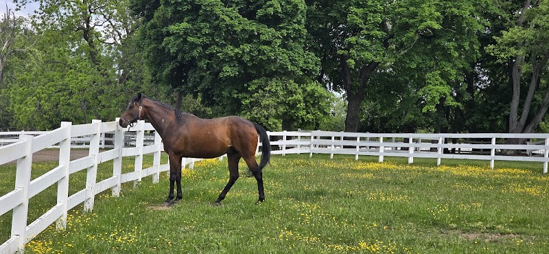 Nassau Equestrian Center