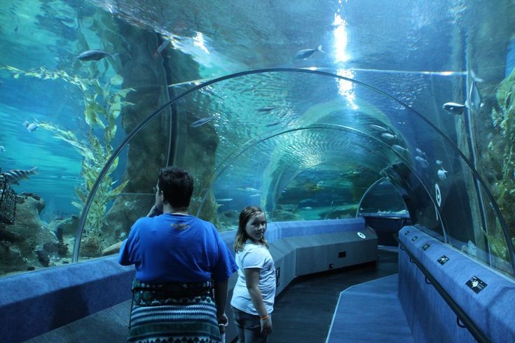 National Aquarium of New Zealand photo 2