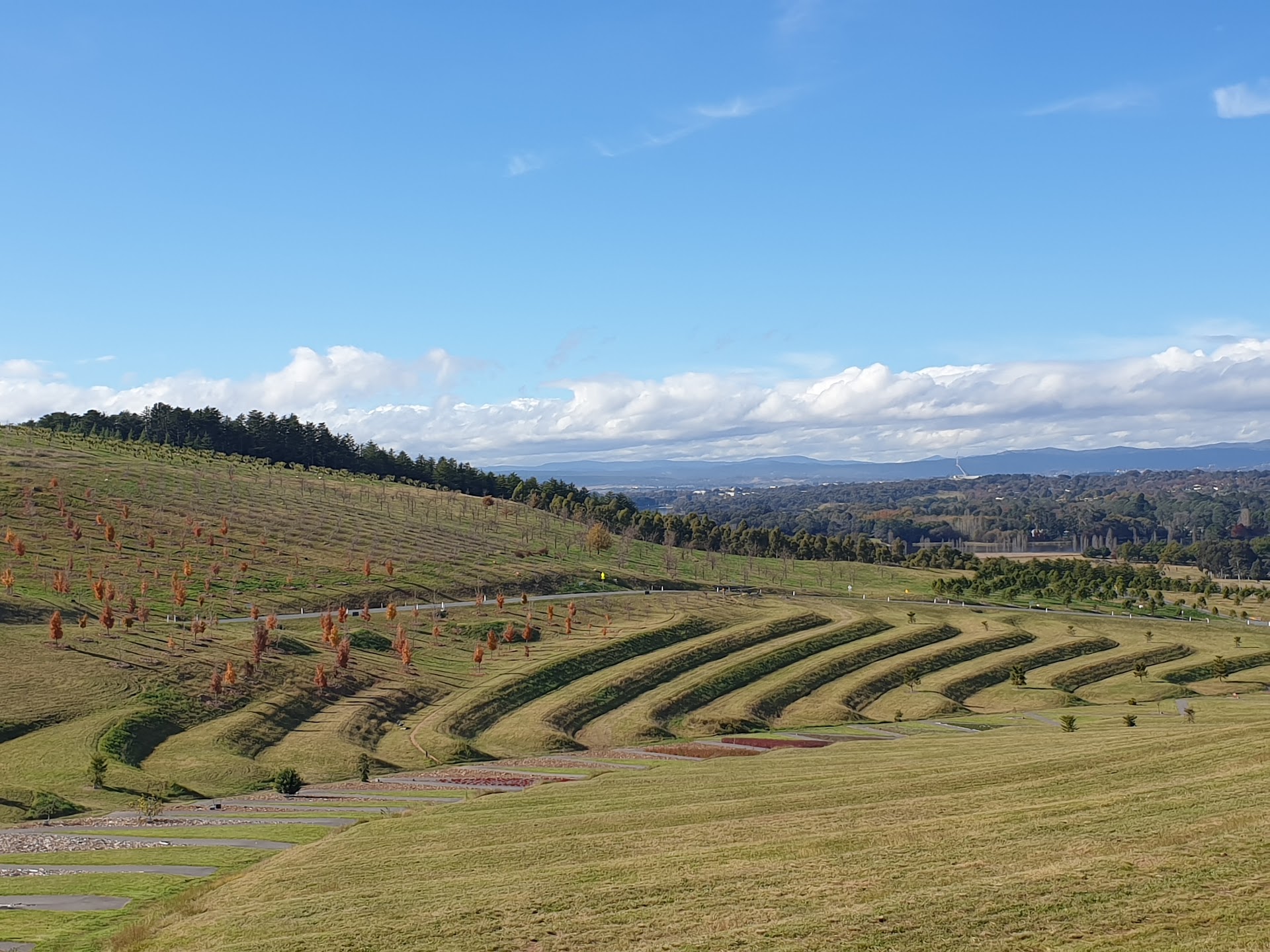 National Arboretum Canberra - POD Playground photo 2