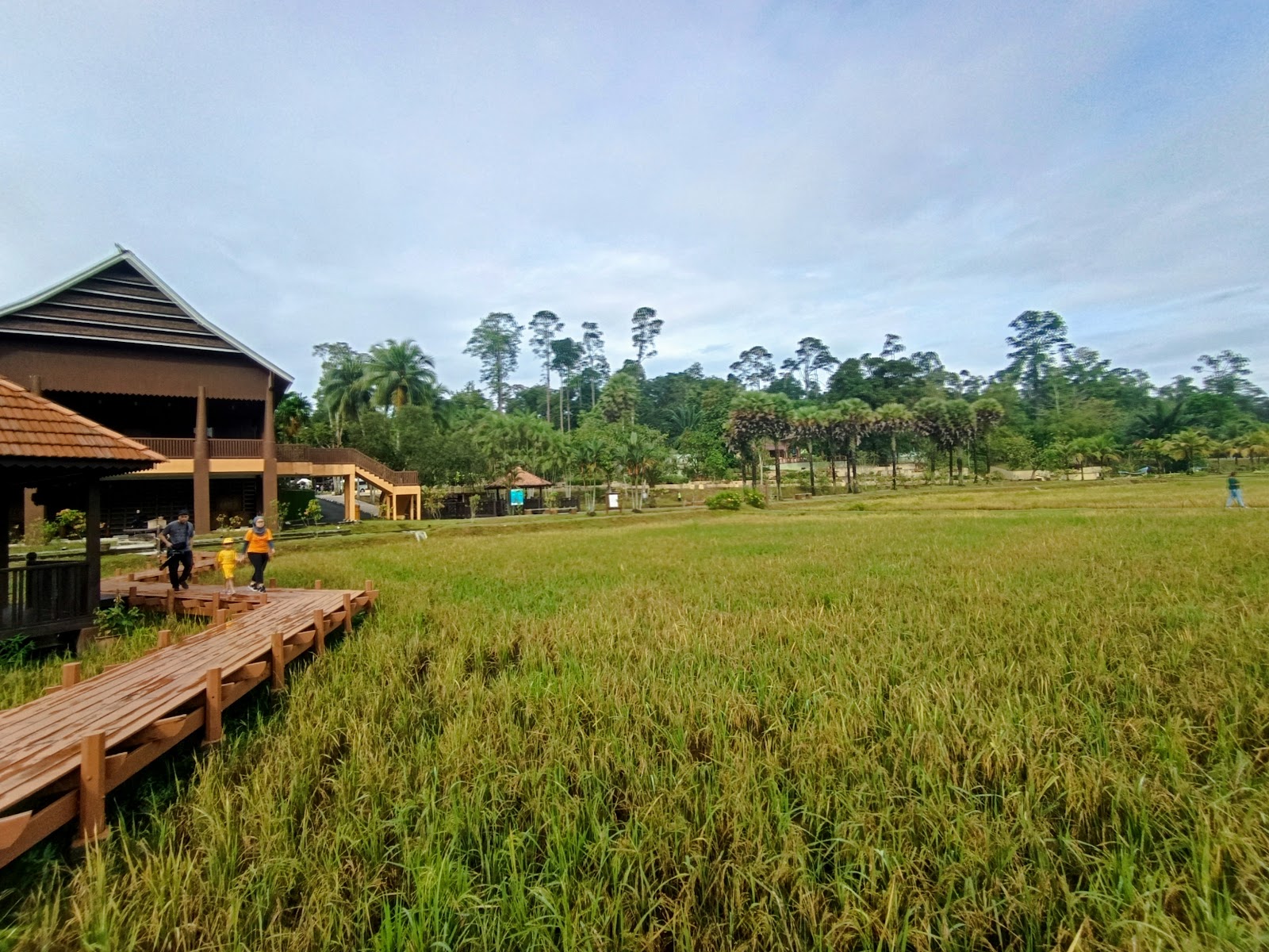 National Botanic Gardens Shah Alam photo 2