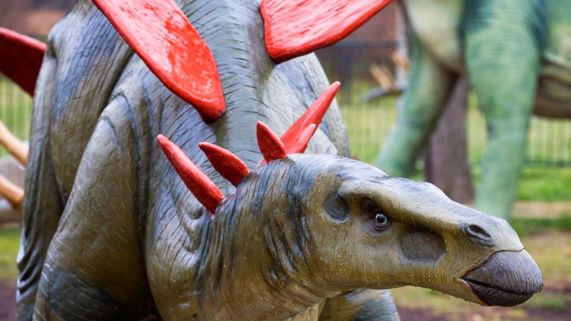 National Dinosaur Museum
