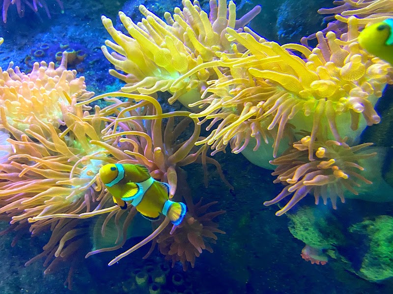National Marine Aquarium photo 3