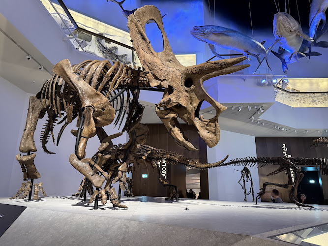Natural History Museum Abu Dhabi