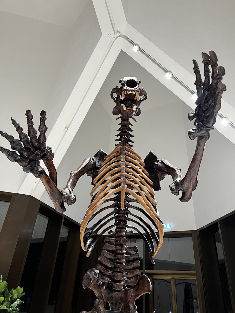 Natural History Museum Abu Dhabi photo 2