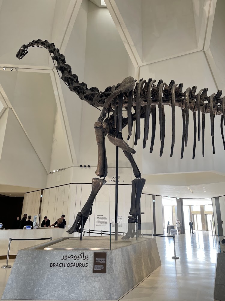Natural History Museum Abu Dhabi photo 4