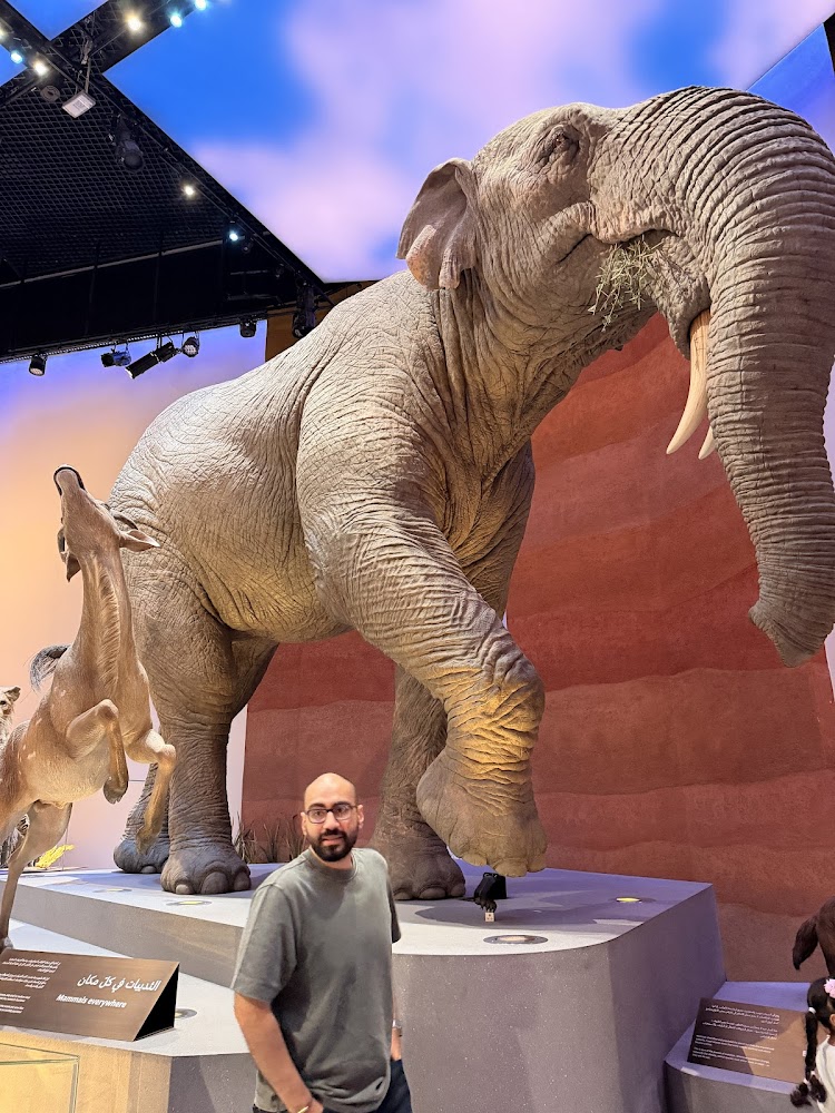 Natural History Museum Abu Dhabi photo 5