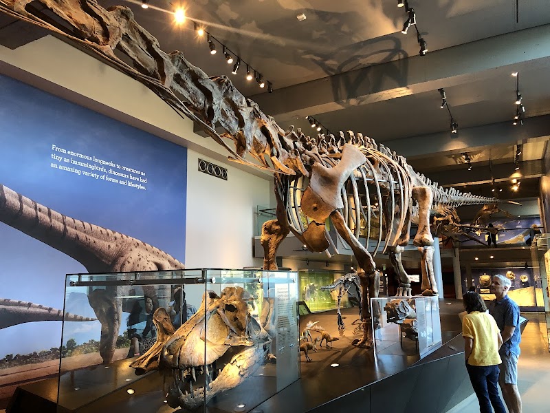 Natural History Museum of Los Angeles County photo 3