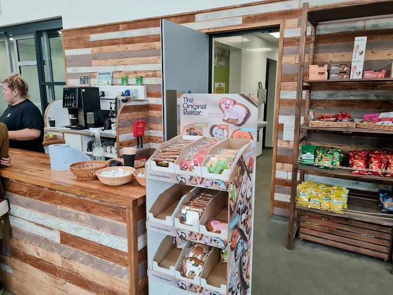 Natural Play and Cafe photo 2