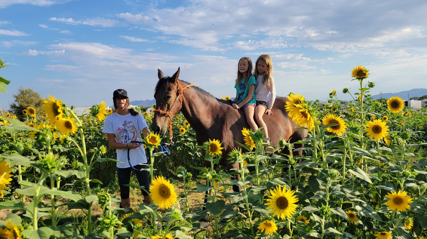Photo of Nature Health Farms Petting Zoo, Airbnb, Alpaca Farm & Wedding Chapel in Pahrump in Nevada